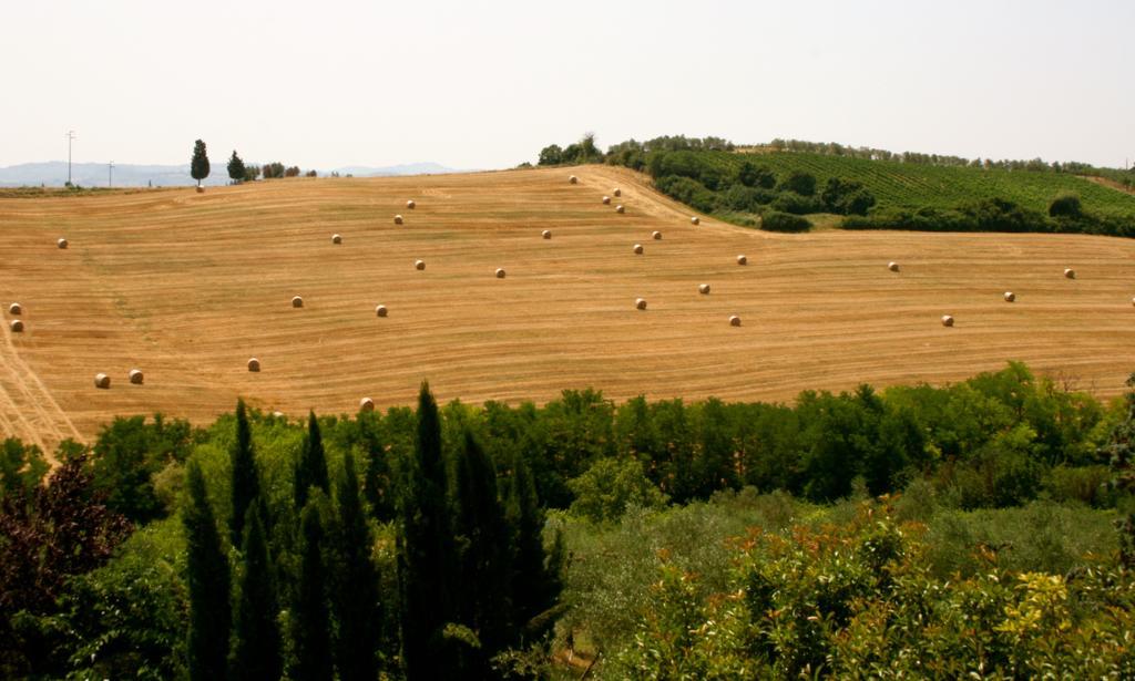 Podere Gattabigia Lastra a Signa Exterior photo